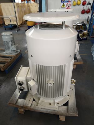 Động cơ lồng sóc điện áp thấp OEM Động cơ không đồng bộ 380v IE4