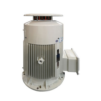 Động cơ cảm ứng điện áp thấp 380v / 400v Mức độ bảo vệ IP55 ba pha