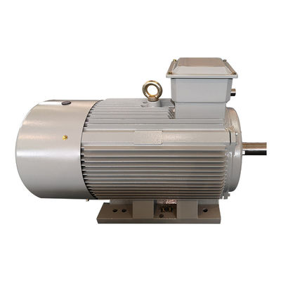 Động cơ cảm ứng điện áp thấp ODM Động cơ không đồng bộ cảm ứng IE3